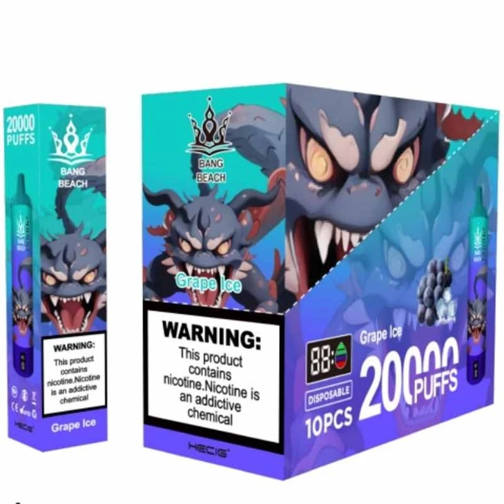 BANG BEACH 20000 Puffs