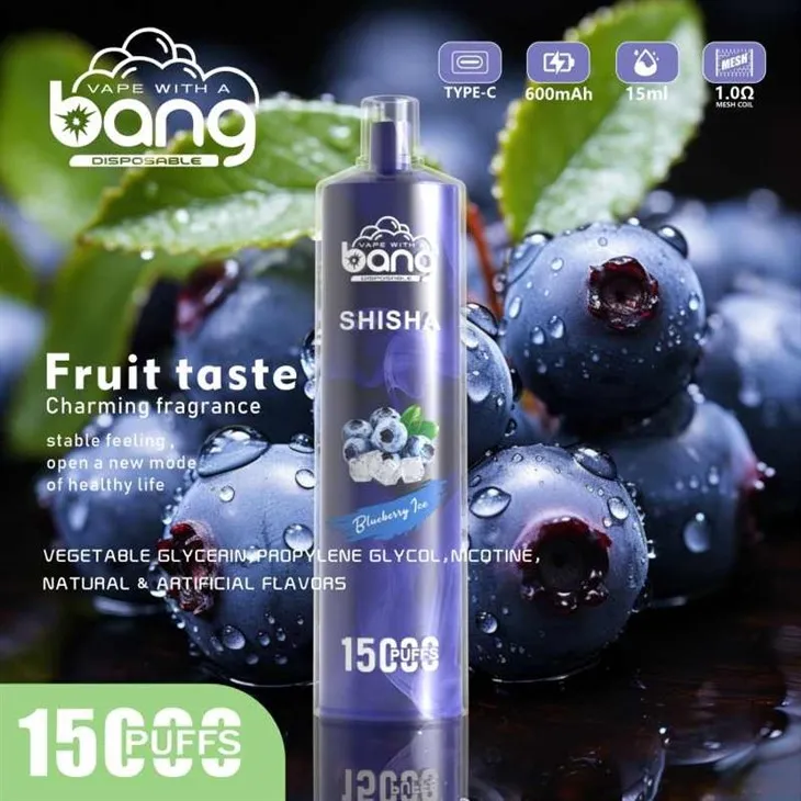 bang SHISHA 15000puffs vape bang SHISHA 15000puffs vape