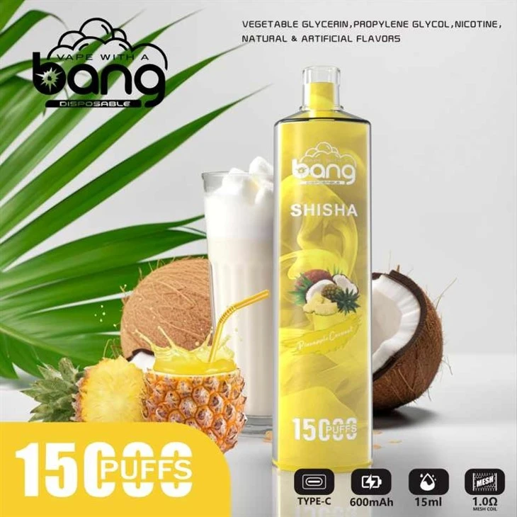 bang SHISHA 15000puffs