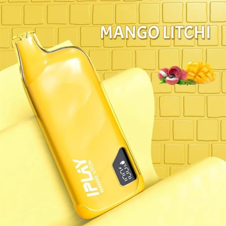 MangoLitchi_IPLAY XBOX PRO 10000 MangoLitchi_IPLAY XBOX PRO 10000
