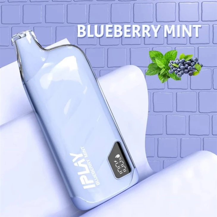 IPLAY XBOX PRO 10000 IPLAY XBOX PRO 10000