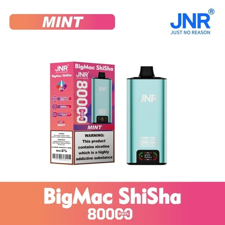 BS01-Mint_JNR Big Mac Shisha 80K