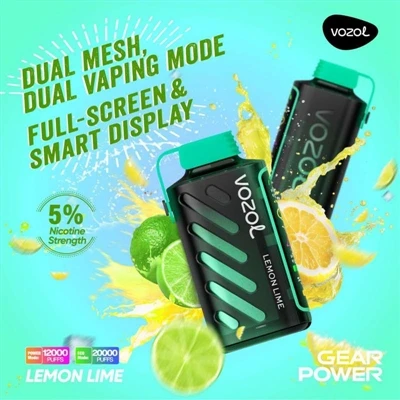 Kui kaua saab kasutada Vozol Geari Power 20000?