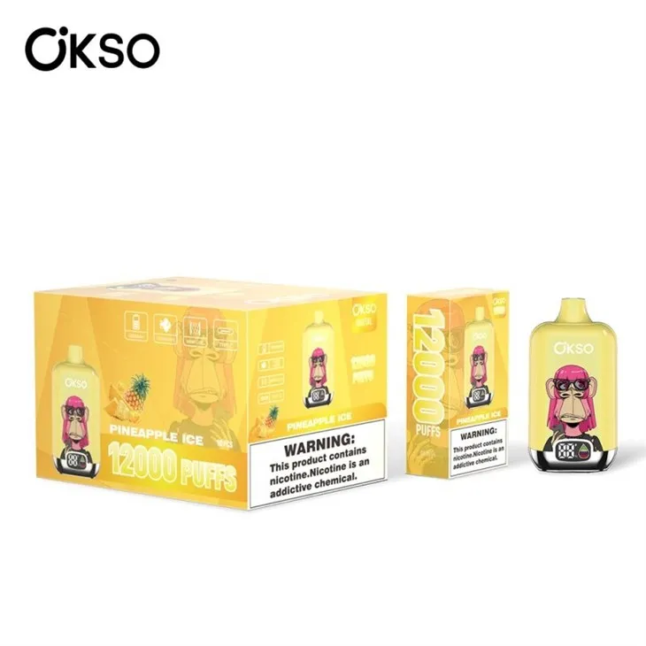 OKSO Digital Box 12000 factory