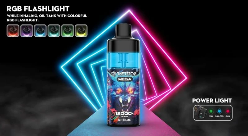 TASTEFOG MEGA 12000 123
