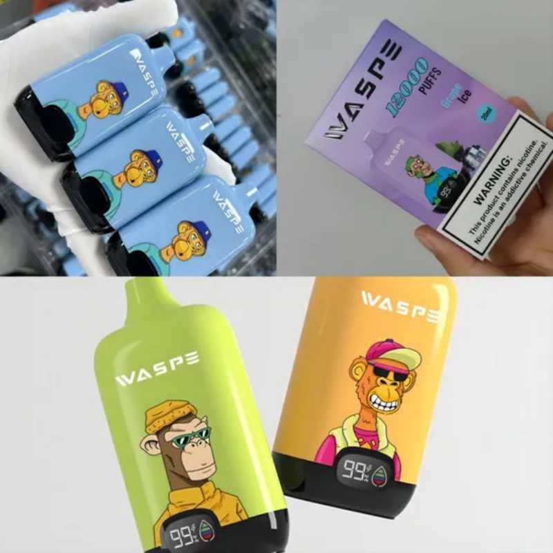 WASPE Digital Box 12000 9 WASPE Digital Box 12000 9