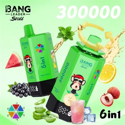 PAUGU LIIDER Stoll 300000