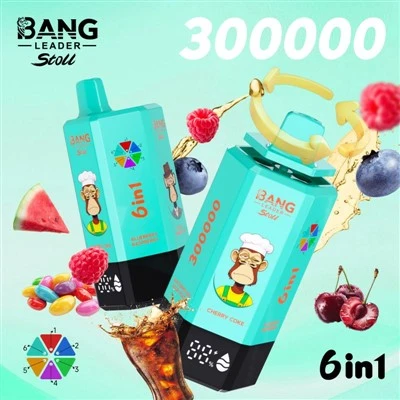 PAUGU LIIDER Stoll 300K