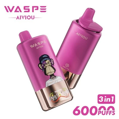 WASPE AIVIOU 60000 3 1 -s