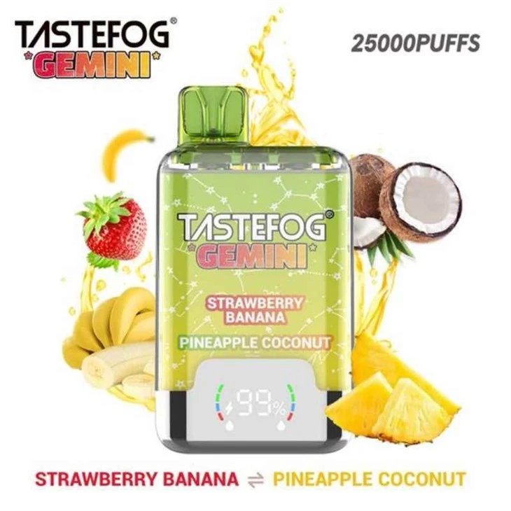 TASTEFOG GEMINI 25000 1 TASTEFOG GEMINI 25000 1
