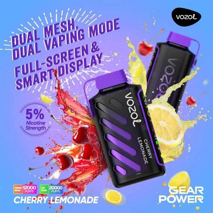 VOZOL GEAR POWER 20000 20