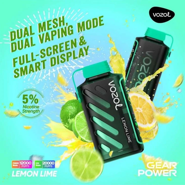 VOZOL GEAR POWER 20000 15